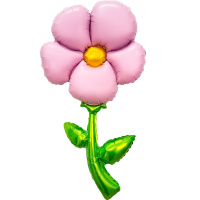 27123