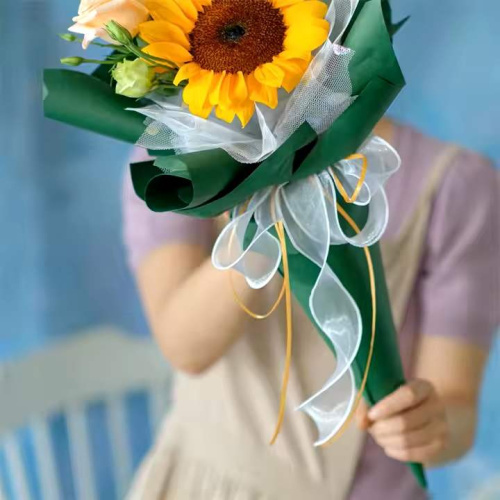 Лента Органза Белая с Окантовкой 40мм/9,14м 