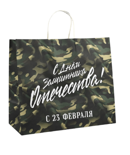 Пакет подарочный 23 Февраля День Защитника 32/28см 