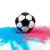 Набор для Гендер Пати, Футбольный Мяч, Холи (2 цвета) 