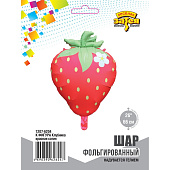 1207-6204