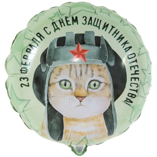 ВЗ 18" Круг 23 Февраля, Кот в Шлемофоне 