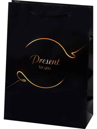 Пакет подарочный Present For You, Черный 22/31см 
