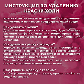 Баллон - Огнетушитель с Краской Холи, Малиновый 3л