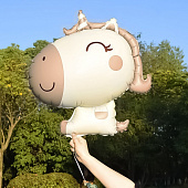 26655