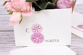 sumkakorobkatransformer-dlya-cvetov-shtup-s--marta-kraft-xx-sm-belyi--buryi-m-31875-4_7